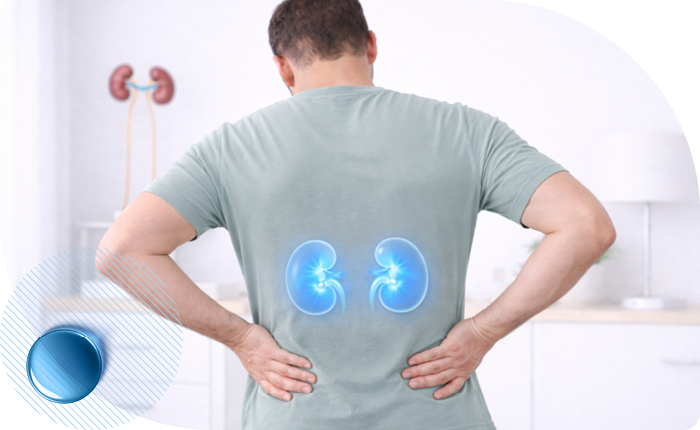 Лечение пиелонефрита в Москве в клинике Столица Лечение пиелонефрита в Москве в клинике Столица